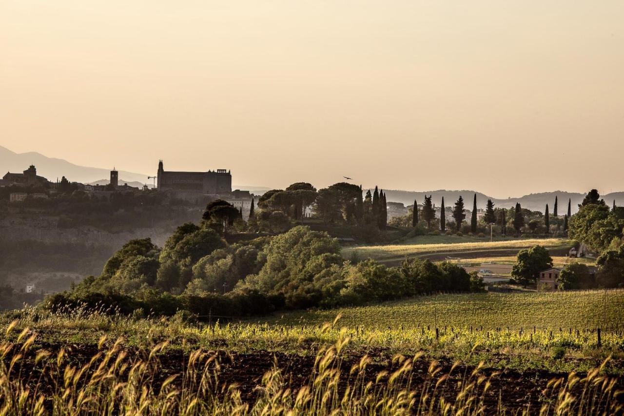 Torre Collevento Luxury Villa Orvieto Extérieur photo